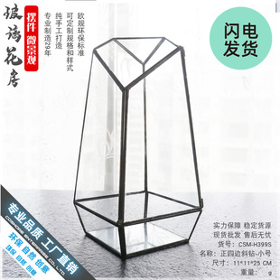 微景观苔藓生态瓶 高透明多肉玻璃花瓶花房 DIY花瓶创意礼品