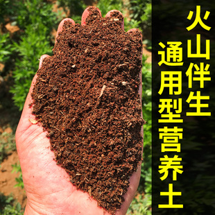 营养土养花通用专用云南山乌龟多肉花卉种菜有机质火山灰土壤20斤