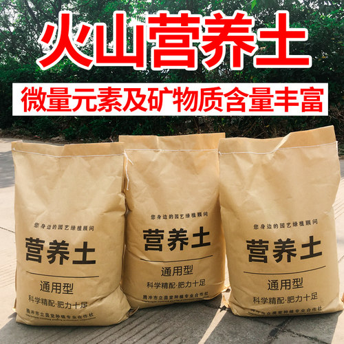 云南腾冲火山草莓种菜大包营养土