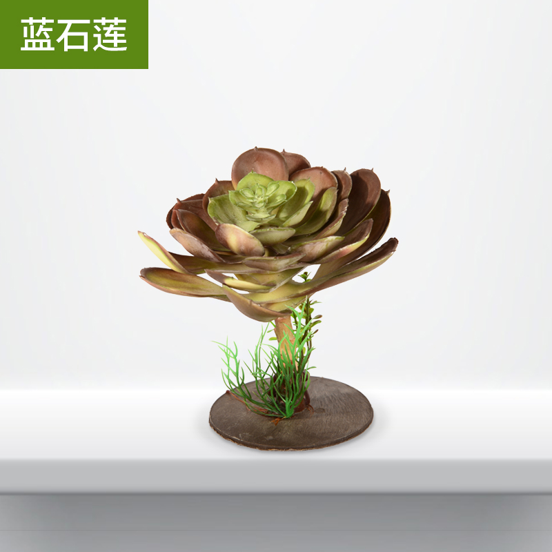 现货速发爬虫箱造景雨林沙漠植物爬宠水龟箱乌龟缸陆龟箱造景绿色