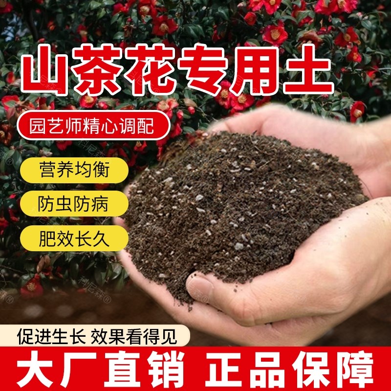 速发山台肥料山营养土内卉有机土室花花草土植物种植