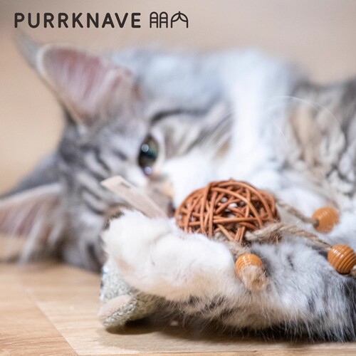 PurrKnave猫玩具藤球玩具磨牙磨爪仿真羽毛发声玩具宠物玩具陪伴