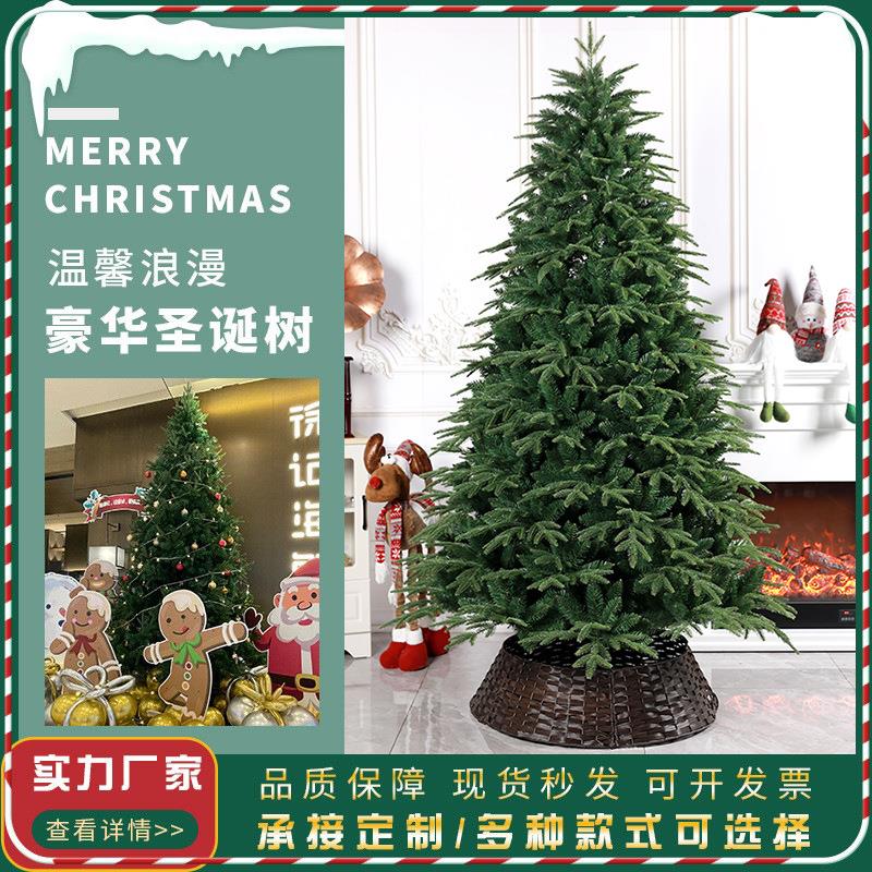 高端纯PE圣诞树加密带灯家用仿真