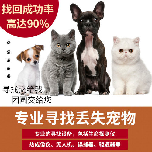 专业找猫，成功率高找不到不收费