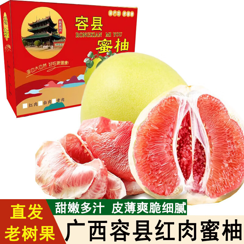 广西容县千秋蜜柚千特产水果