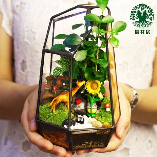 玻璃花房微景观价格 玻璃花房微景观图片 星期三