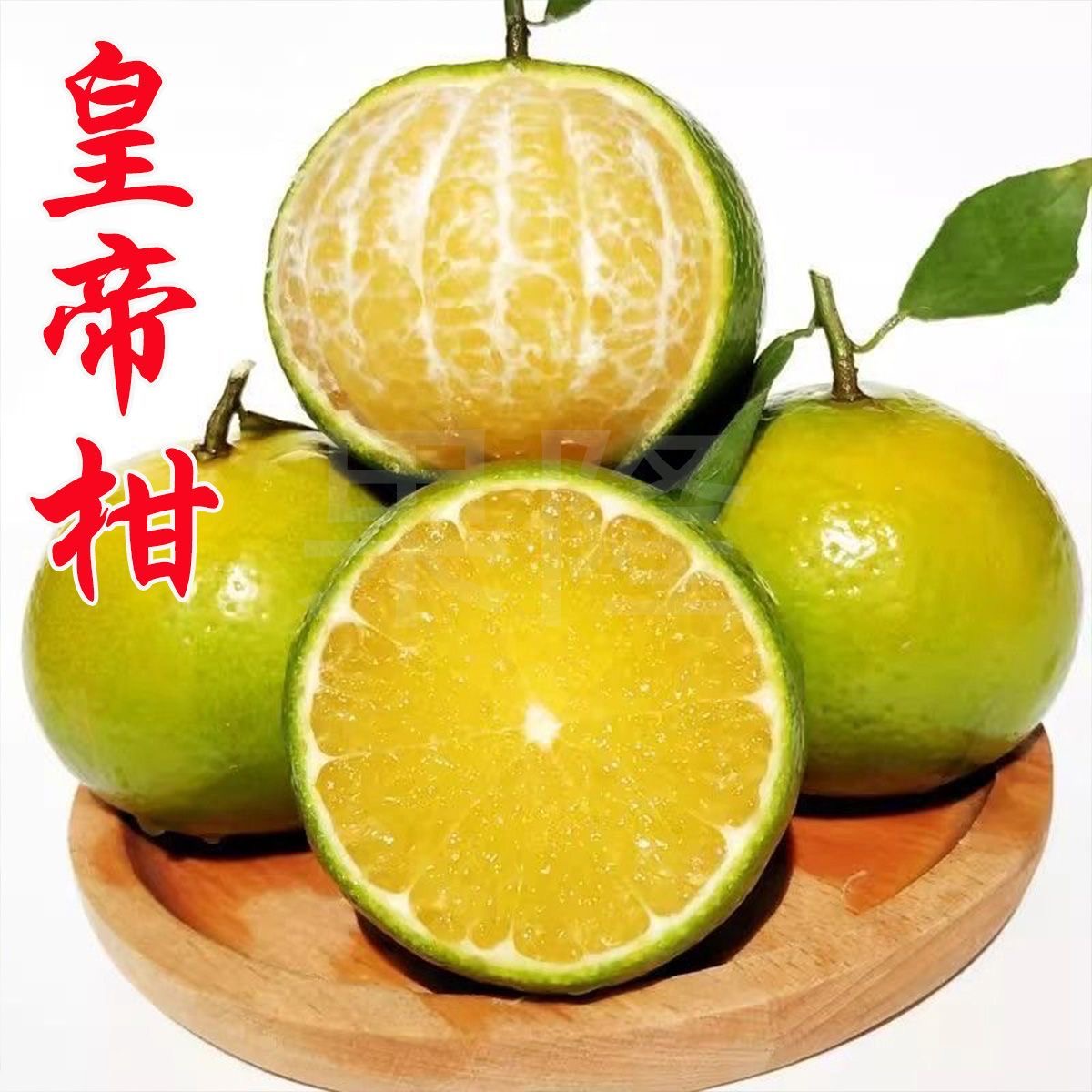 【新鲜采摘】广西皇帝柑现摘应季水果甜桔子整箱5斤