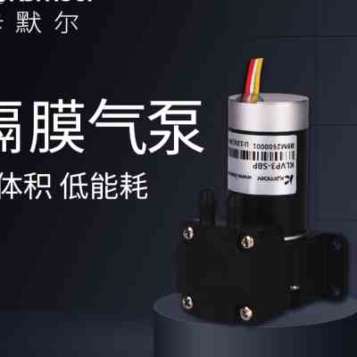 卡默尔微型真空泵12v小泵小型隔膜泵无刷压力泵迷你负压泵24v气泵