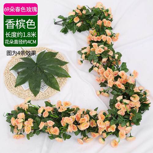 空间花藤价格 空间花藤图片 星期三