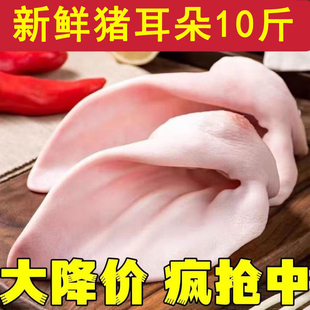 新鲜带根猪耳朵20斤整箱商用生猪耳片餐饮卤菜店生鲜冷冻食材3斤