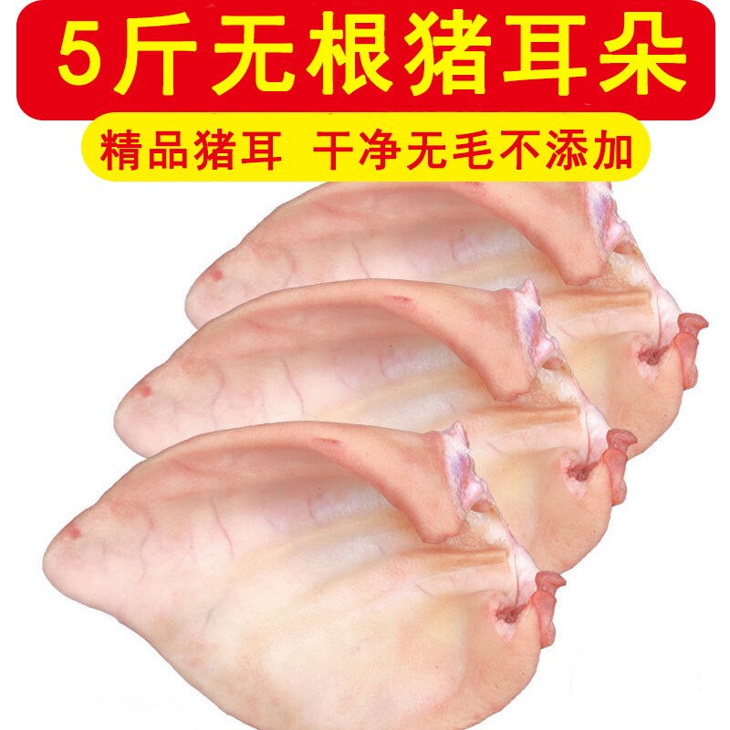 新鲜冷冻猪耳片卤味食材