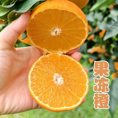 四川眉山爱媛果冻橙鲜甜爆汁