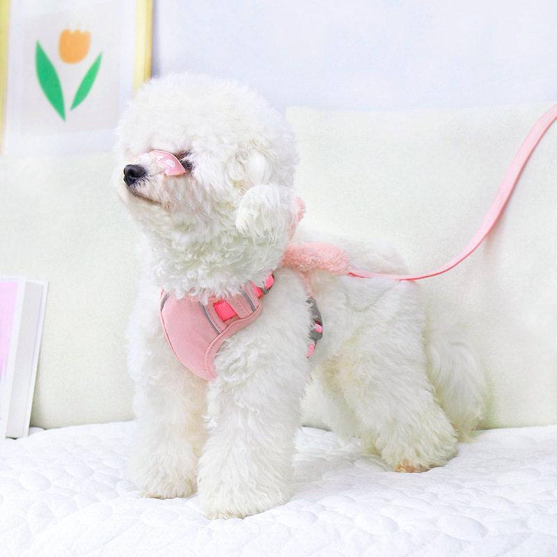 狗狗胸背带小中型犬遛狗