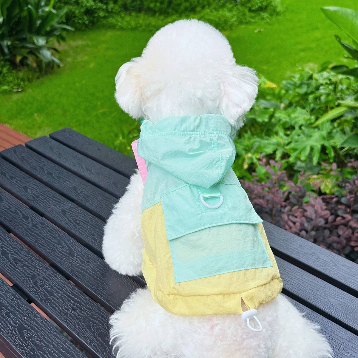 宠物防晒连帽衣狗狗猫咪夏季外出衣服比熊泰迪雪纳瑞可打湿背心