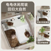乌龟晒台爬台小型带过滤爬梯新款 晒背台躲避洞麝香蛋龟箱造景通用