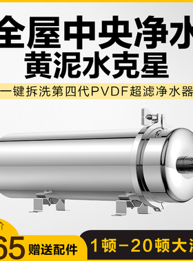 德国黄泥水克星过滤器自来水家用商用农村厨房地下井水全屋净水器