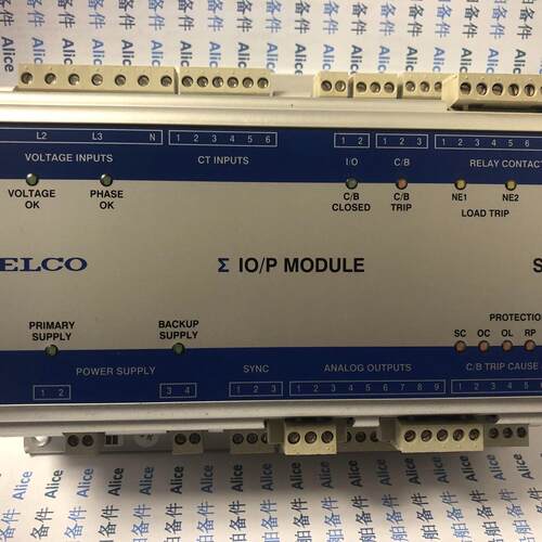S6000 SELCO sigma IO/P保护模块 工控自动化配件议价维修