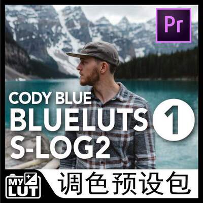 Blue luts PACK1 SLOG2 CODY BLUE a7m3 a6400调色预设包索尼色调