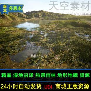 Landscape 虚幻UE4 湿地沼泽雨林资源素材 Meadow Wetlands
