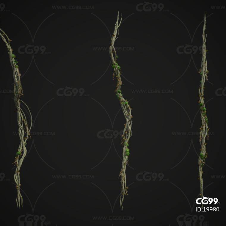 3Dmax藤蔓树藤条Vines藤本植物 攀援葡萄藤蔓贴图3d模型