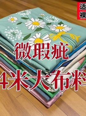 清仓长4米宽2.3米大布料可做房间窗帘工地宿舍床上防尘防污大布料