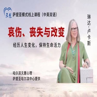琳达萨提亚模式线上课程重建自我家庭亲子关系冰山隐喻心理视频