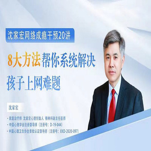沈家宏网络成瘾干预20讲视频青少年网瘾应对家庭系统动力治疗课程