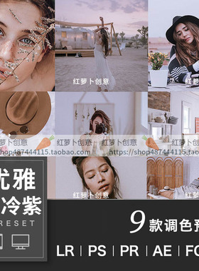 LR预设PS调色优雅清冷紫色调滤镜 PR剪映泼辣FCPX手机版VN插件LUT