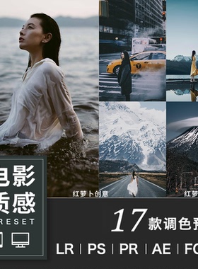 青灰电影质感滤镜LR预设 PS手机PR滤镜luts调色lr调色胶片婚礼lut