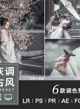 PS仙侠灰色风古风古装汉服LR预设达芬奇FCPX手机APP滤镜PR调色LUT