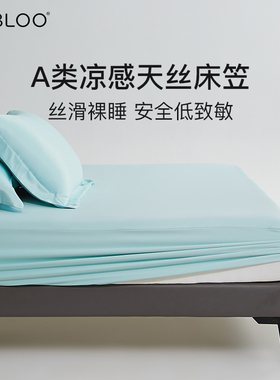 IMBLOO天丝棉夏季凉感床笠罩单件席梦思床垫保护罩床套冰丝A类