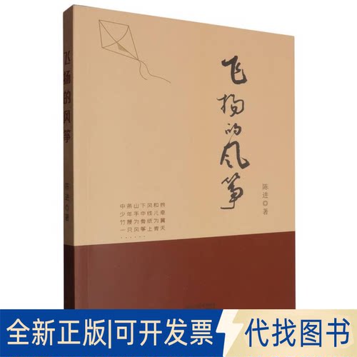 全新正版飞扬的风筝陈进著 著9787553351919南京出版社2018-01-01