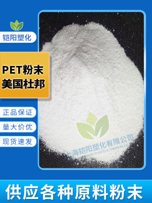 PET粉末 高纯度热塑性聚酯细粉 实验 分析科研微塑料粉 涂料 油墨