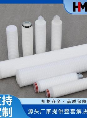 高纯水PES微孔折叠膜PTFE滤芯常规接口222三角尖68*254mm