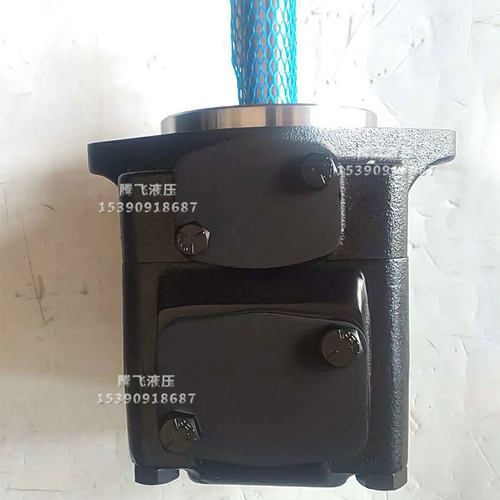 新款叶片泵T6C-031/02857