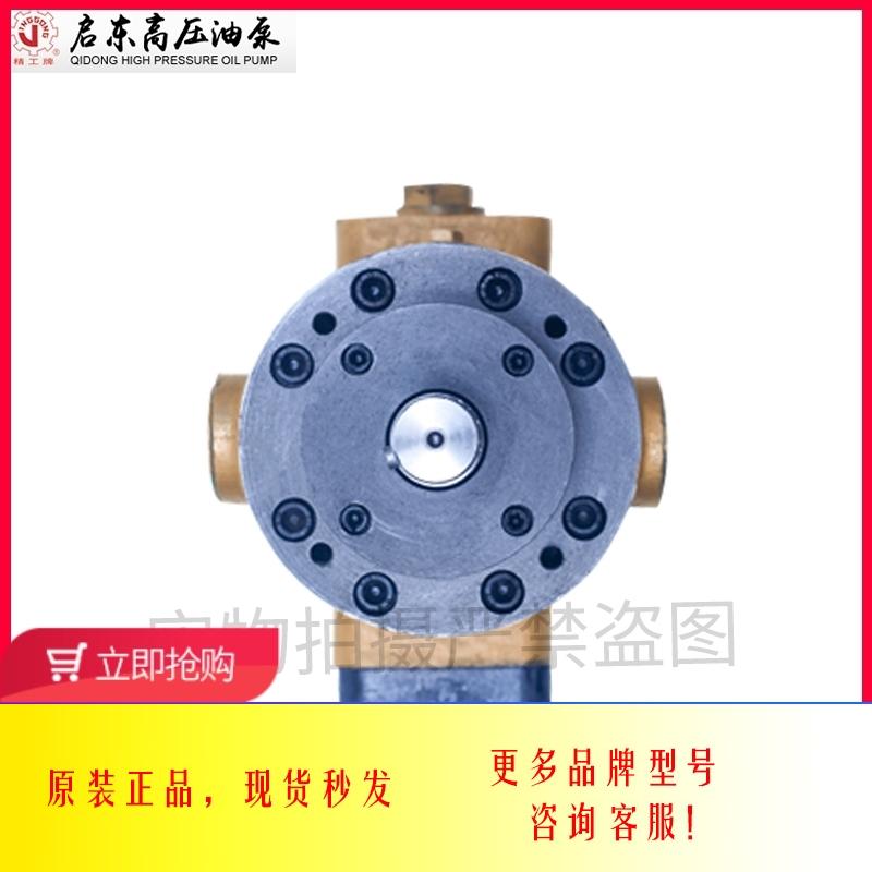 新款启东高压油泵厂10/16