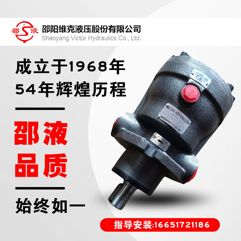 新款邵阳维克柱塞泵SY-1