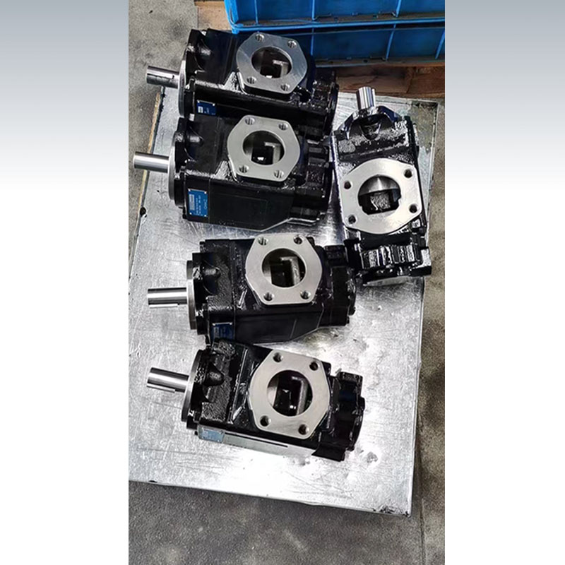 新款丹尼逊双联叶片泵T6