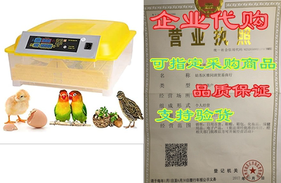 Anfan Egg Incubator， Automatic 48 Digital Egg Incubator H