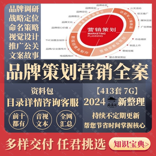 品牌策划营销方案市场调研战略定位品牌命名策略推广文案预算工具