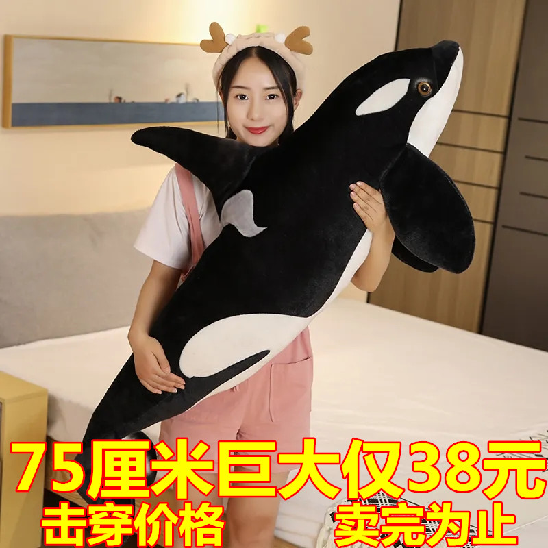 迷糊熊抱枕公仔PP棉可爱