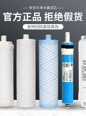安吉尔净水器滤芯2605-ROB8A4/V1/J2575/2577/VPRO全套折叠PP棉US