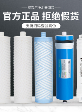 安吉尔净水器J2405-ROB60(A8)S新A6黑金老A8原装正品滤芯全套防伪