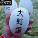 鹅蛋新鲜微山湖纯农家散养天然土鹅蛋孕妇去胎毒初生蛋100 120g现