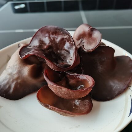 毛木耳干货黑木耳新货脆木耳大木耳散装白背木耳500g野生川耳包邮