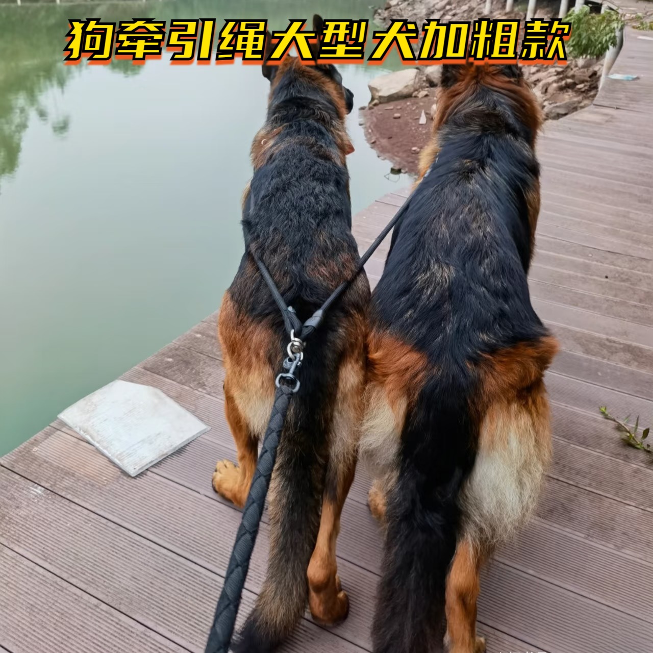 狗牵引绳大型犬加粗款尼龙胸背带