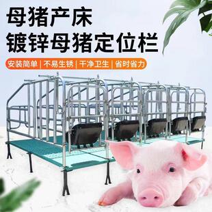 落地式母猪定位栏限位栏猪用栏位养猪设备新款加厚母猪限位栏猪圈
