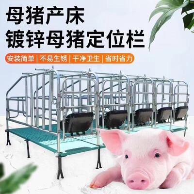 落地式母猪定位栏限位栏猪用栏位养猪设备新款加厚母猪限位栏猪圈
