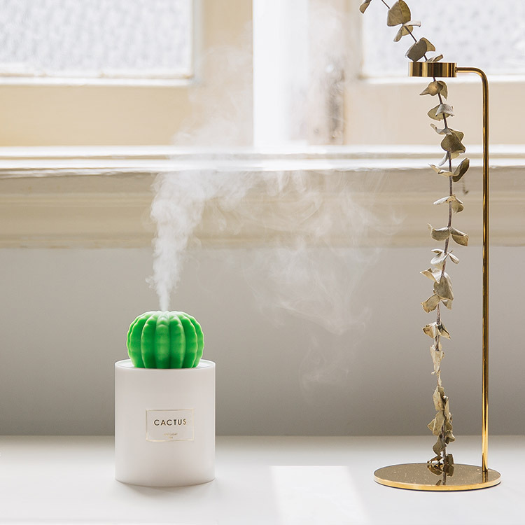 叁活创意USB仙人球加湿器 家用静音办公卧室小夜灯雾化器礼品