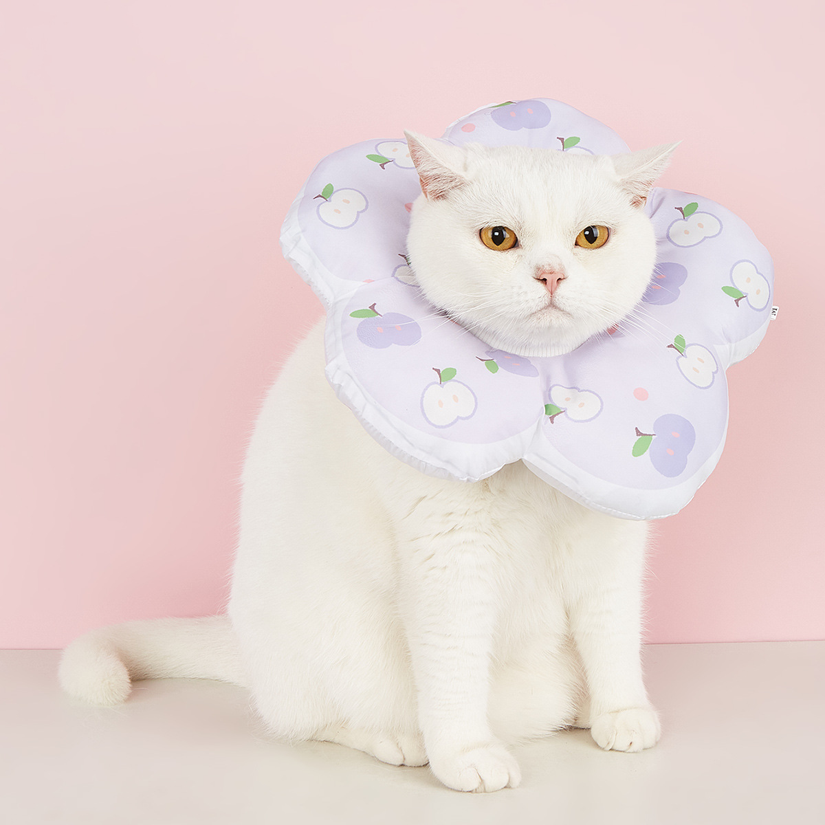 INS韩版新品卡通水果花头套伊利莎白圈猫狗项圈防舔节育宠物用品